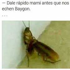 We did not find results for: Dopl3r Com Memes Y Gifs De Baygon