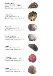 Huitres Et Coquillages Le Coutographe Huitres Coquillage Palourde