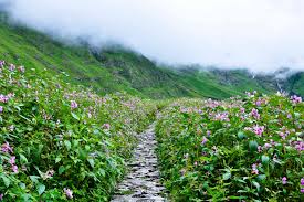 We did not find results for: The Valley Of Flowers Trek Height Distance And Cost Har Ki Dun Trek