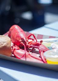 A rapidly intensifying nor'easter brought snow, ice, gusty winds, power outages, travel delays, and flooding to millions. Home The Nor Easter Pound Market Live Lobster Raw Oysters Maine Lobster