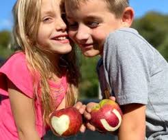 Apple Picking in CT in 2025: Best Apple Farms and Apple Festivals