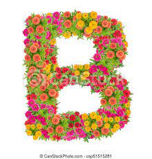 See more ideas about letter b, lettering alphabet, alphabet. Buchstaben B Alphabet Aus Zinniabluten Abc Konzept Als Logo Typographie Design Mit Clippingpfad Canstock
