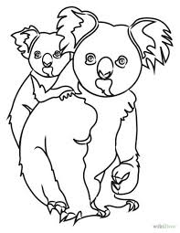 How To Draw Koala Bears Koala Drawing Koala Illustration Drawings