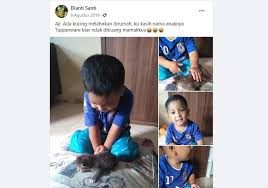 Kucing merupakan salah satu hewan peliharaan terpopuler di dunia. Takut Dibuang Emak Bocah Ini Beri Nama Anak Kucingnya Tupperware