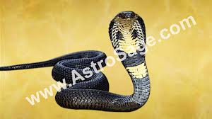 The folk research center of dharwad entertained women by making such pellets. Nag Panchami 2021 Date Muhurat New Delhi India