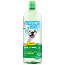 Maybe you would like to learn more about one of these? The Best Dog Toothpaste Toothbrush And Dental Treats In 2021