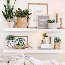 Whether indoors, in your garden or on your balcony, these spiky beauties can put up with almost anything. 22 Plant Shelf Ideas That Are Perfectly Styled