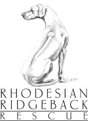 We did not find results for: Home Rhodesian Ridgeback Rescue Inc Usa And Canada