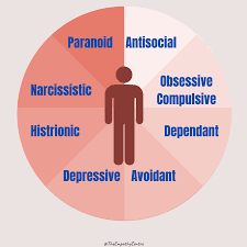 Image result for Personality Disorder
