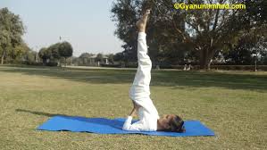 Sarvangasana Shoulder Stand Yoga Pose Steps Benefits And Precautions