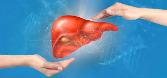 În satele transilvănene, oamenii atârnă mărțișoarele de uși, ferestre și coarnele animalelor domestice pentru a speria duhurile rele. Inamicii Ficatului Dacia Plant Blogul Despre Sanatate Naturala