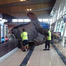 Image result for New Zealand Monument Eagle Airport knocked over by earthquake