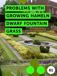 Pin On Growing Plants