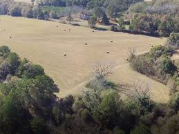 Landwatch has 237 land listings for sale in birmingham, al. Alabama Farms For Sale Farmflip