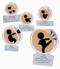 Pin En Little Miracle
