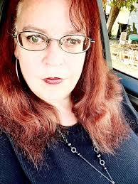 What wildlife laws and regulations need to be addressed in Michigan for  rehabbers?