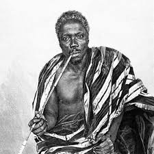 Image result for Afrosolen bainesii