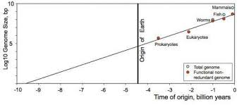 researchers use moores law to calculate that life began