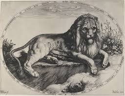 Pin On Cats In The Collections