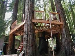 Girls playing in a tree house designed by paul neuhaus. 13 Simple Treehouse Ideas You Can Build For Your Kids This Weekend Easy To Expert Levels Trees Com