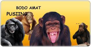 Dibawah ini adalah berbagai 86 download gambar gerak nangis lucu yang dapat kami. Stiker Monkey Lucu Wastickerapps For Android Apk Download