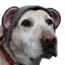 Patterns preceded by an plus sign (+) require free registration (to that particular pattern site, not to crochet pattern central) before viewing. 10 Crochet Dog Hat Patterns Crochet News