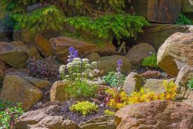 We did not find results for: How To Build A Rock Garden On A Slope New Life Rockeries