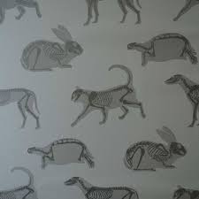 Check spelling or type a new query. 63 Vet Ideas Hospital Design Clinic Design Vets