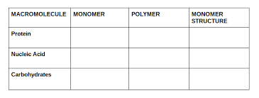 Macromolecule Chart Diagram Quizlet