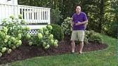 We have a team of experienced landscapers who are skilled in laying bermuda and zoysia sod. Glm Sod Landscape Materials Alpharetta Ga Youtube