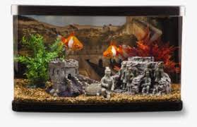 I have a treasure box and two ships that i retouched the paint with matte finish acrylic paint and i purchased krylon clear polyurethane to seal it. Aquarium Fish Tank Png Image Aquarium Fish Tank Png Transparent Png 1242x1426 Free Download On Nicepng