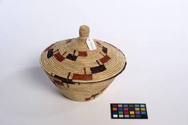 Image result for Eleusine kigeziensis