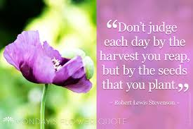 Don T Judge Each Day By The Harvest You Reap Floating Petals