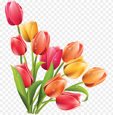 Download spring flowers png free icons and png images. Tulip Clipart Bucket Flower Spring Flowers Png Image With Transparent Background Toppng