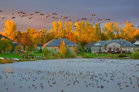 Maybe you would like to learn more about one of these? Water S Edge Greely Ontario Canada Home Facebook