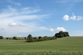 Die grenzen der magdeburger börde sind weitgehend fließend. Magdeburger Borde Foto Bild Himmel Natur Pflanzen Bilder Auf Fotocommunity