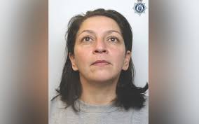 Golden Retrievers Enjoy Meet Cute Moment