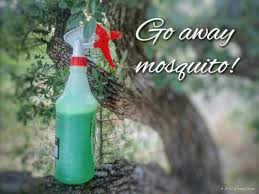 If you are committed to using listerine as a mosquito repellent, you can mix it with a couple of other ingredients to create an ok repellent. Mouthwash Epsom Salt Beer Mosquito Repellent Does It Work Beer Poster