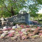 Pin On Rose City Nursery Tree S