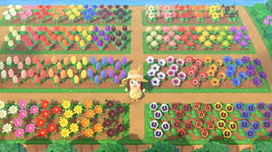 With The Help Of Friends I Finally Have All The Flowers Animal Crossing Animal Crossing 3ds New Animal Crossing