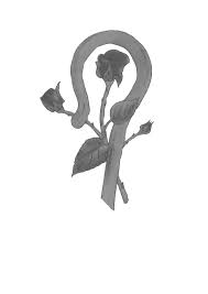 Victoria Hats And Fascinators Home Facebook