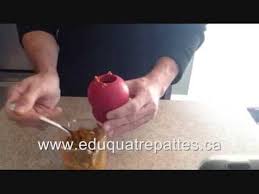 Educateur Canin Comment Remplir Un Jouet Kong Pour Chien Et Le Faire Durer Longtemps Jouet Kong Recettes Pour Chien Nourriture Pour Chiens Faite Maison