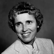 Callista Roy's Adaptation Model in Nursing: Explainer