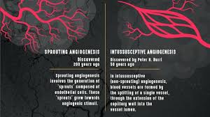 Cancer cells, and how they grow, remain unpredictable and in some cases mysterious. Angiogenesis In Cancer Technology Networks