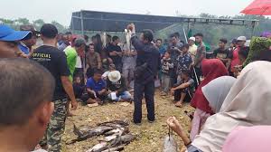 Maybe you would like to learn more about one of these? Tradisi Mencokou Ikan Di Kampar Kiri Hulu Menangkal Radikalisme