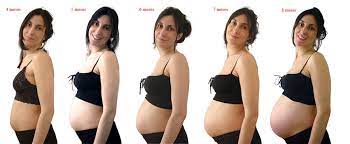 8 Meses