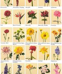 Name all the flowers in the world. Victorian Flower Meanings Flower Meanings Flowers World Valentines Day Flowers List Of Flowers Beautiful Flower Names Flower Names
