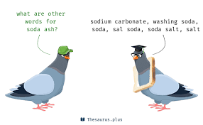 6 Soda Ash Synonyms Similar Words For Soda Ash Washing soda isn't only useful in your laundry! 6 soda ash synonyms similar words for