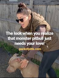 Pitbull Monster Is Just A Big Baby Pack Of Pitts Kennels Visit Day In Buffalo New York Pack S Cervato Loves Visito Pitbulls Funny Pitbulls Funny Dog Pictures