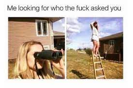 Looking For Who Asked You Who The Fuck Is You Know Your Meme